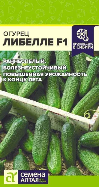 Огурец Либелле F1 ФОТО
