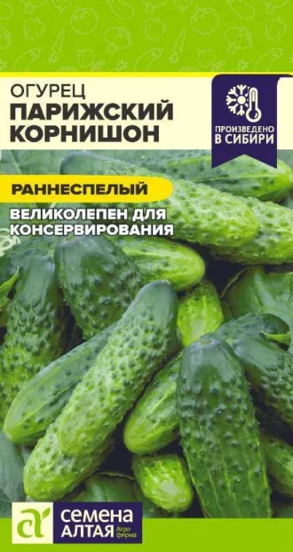 Огурец Парижский Корнишон фото