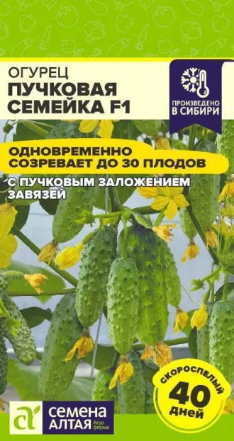 Огурец Пучковая Семейка фото
