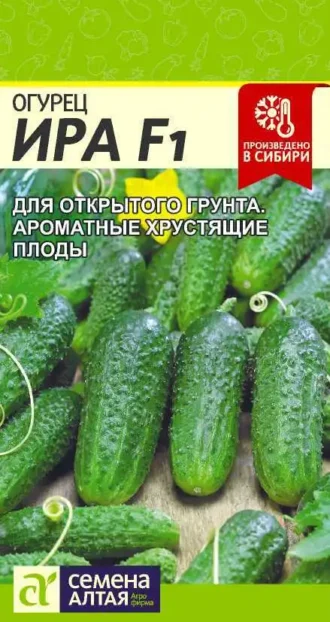 Огурец Ира F1 Семена Алтая