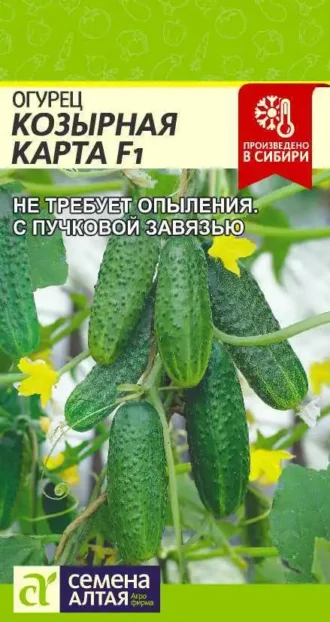Огурец Козырная Карта F1 Семена Алтая
