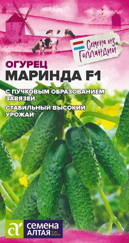Огурец Маринда F1 Семена Алтая