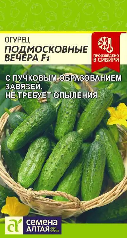 Огурец Подмосковные Вечера СА