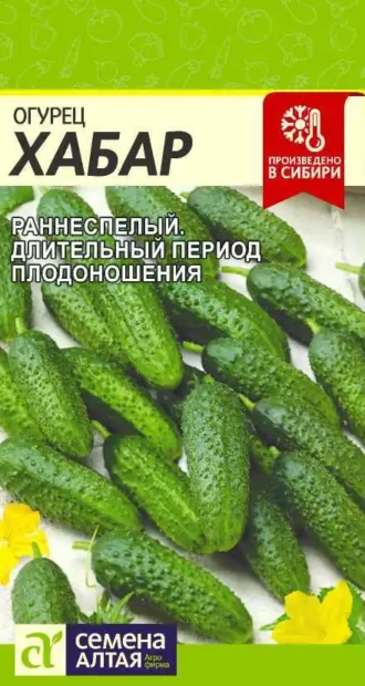 Огурец Хабар Семена Алтая