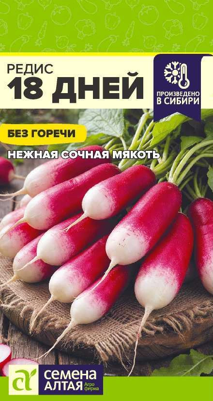 Редис 18 дней ФОТО
