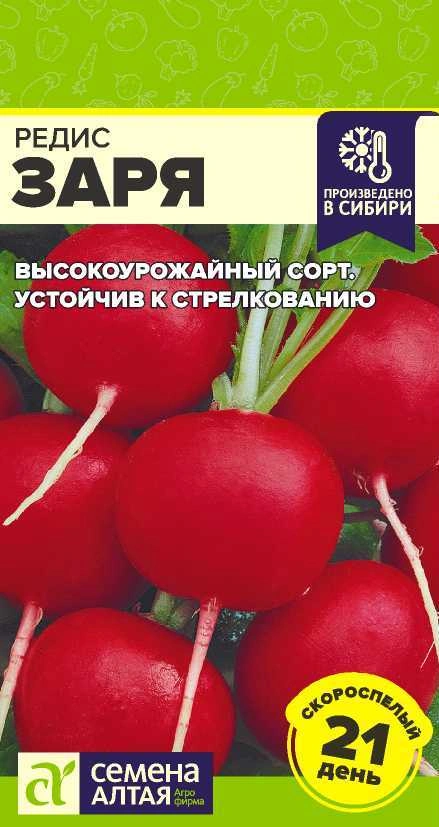 Редис Заря ФОТО