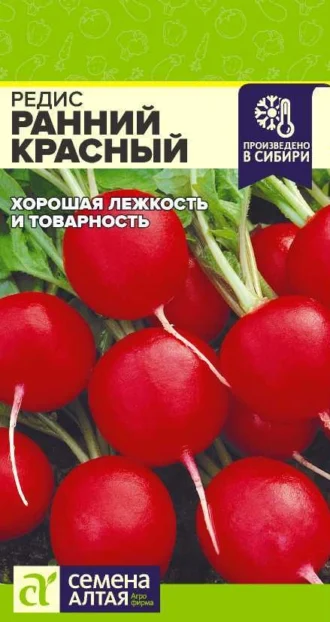 Редис Ранний Красный ФОТО