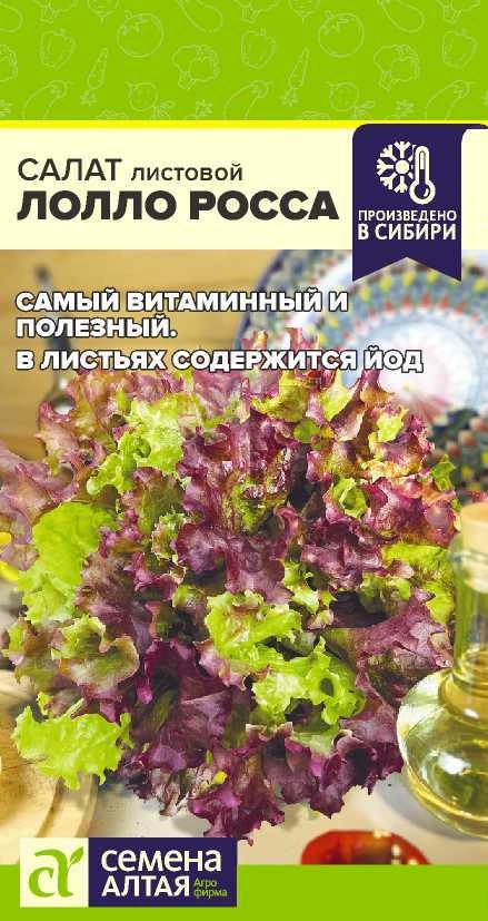 Салат Лолло Росса ФОТО