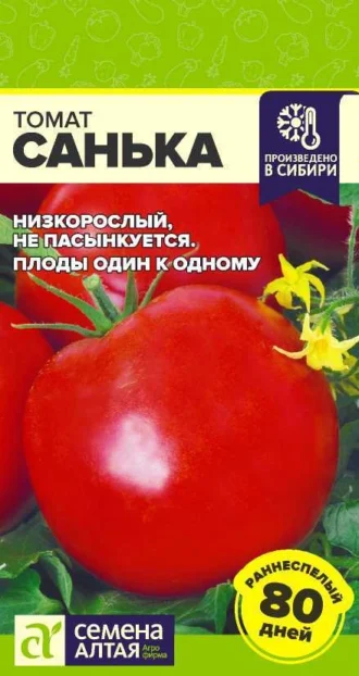 Томат Санька фото