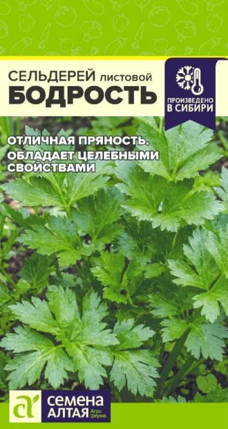 Сельдерей Листовой Бодрость ФОТО