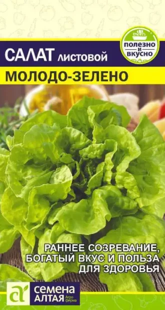 Салат Молодо-Зелено Семена Алтая