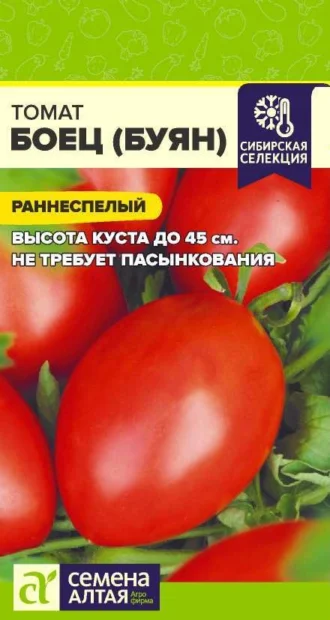Томат Боец фото