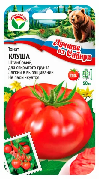 Томат Клуша Фото