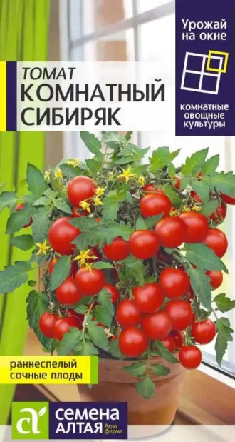 Томат Комнатный Сибиряк Семена Алтая