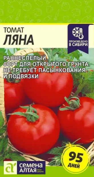 Томат Ляна фото
