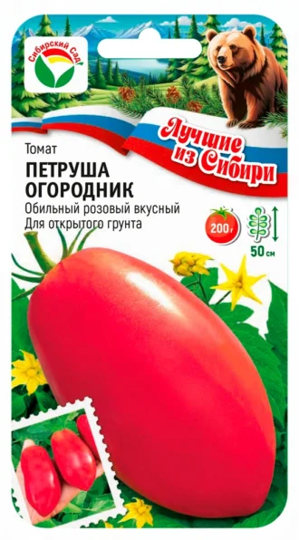 Томат Петруша Огородник фото