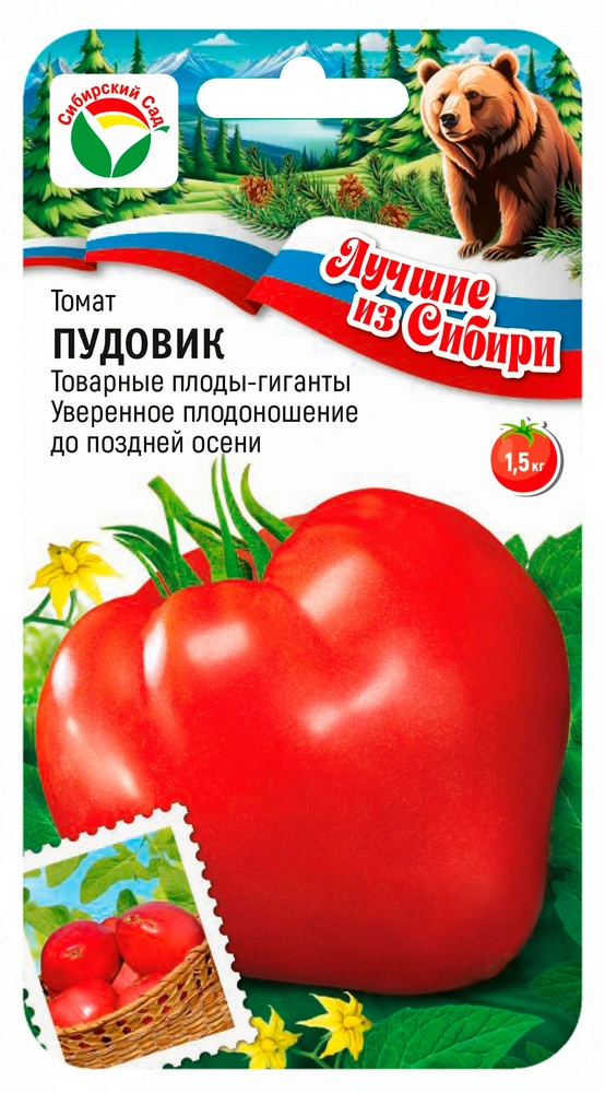 Томат Пудовик ФОТО