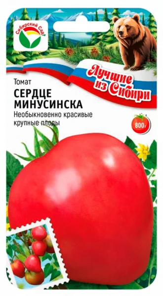 Томат Сердце Минусинска фото