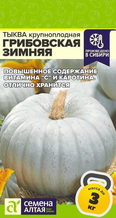Тыква Грибовская Зимняя ФОТО