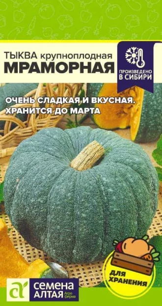 Тыква Мраморная ФОТО