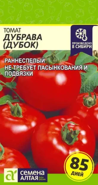 Томат Дубок (Дубрава) Семена Алтая