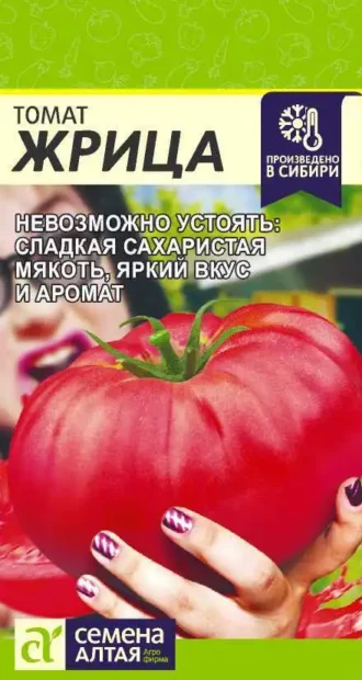 Томат Жрица Семена Алтая