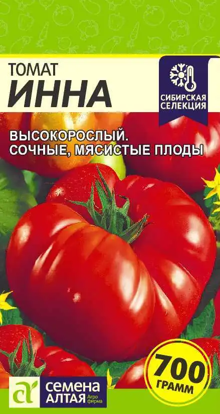 Томат Инна фото