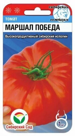Томат Маршал Победа фото