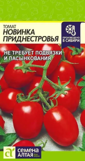 Томат Новинка Приднестровья фото