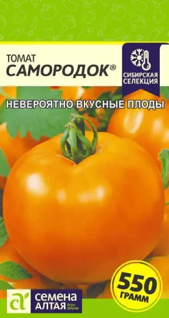 Томат Самородок ФОТО
