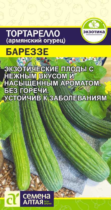 Тортарелло Бареззе Семена Алтая