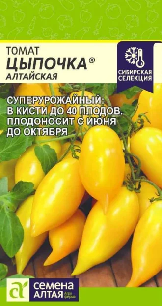 Томат Цыпочка ФОТО