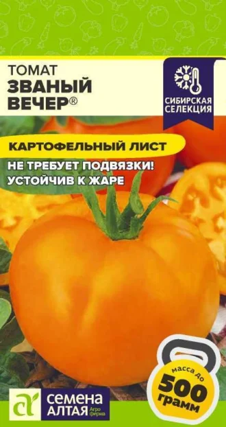 Томат Званый Вечер фото
