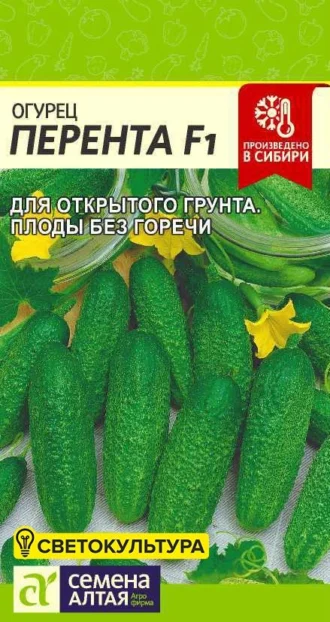 Огурец Перента F1 фото