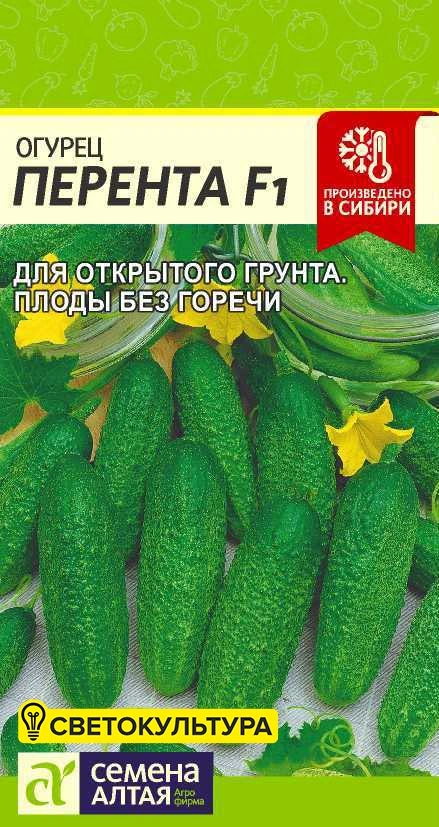 Огурец Перента F1 фото
