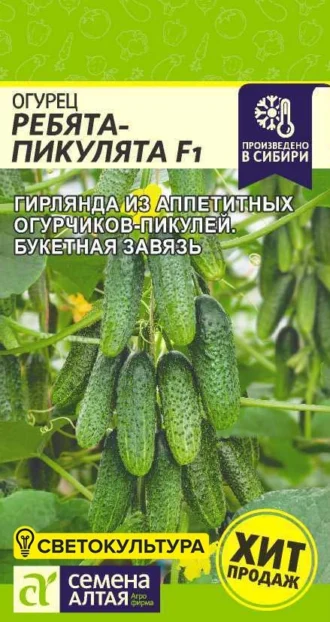 Огурец Ребята-Пикулята фото