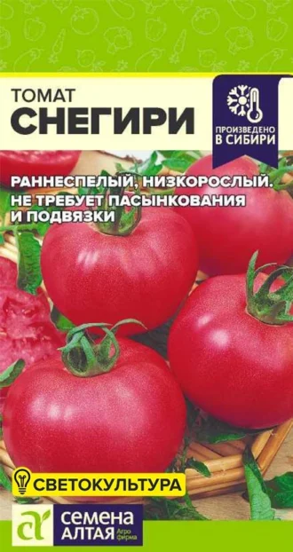 Томат Снегири фото