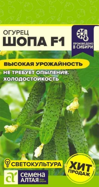 Огурец Шопа фото