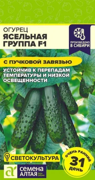 Огурец Ясельная Группа F1 фото