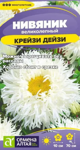 Нивяник Крейзи Дейзи фото