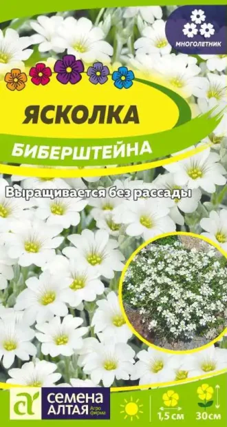 Ясколка Биберштейна Семена Алтая