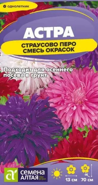 Астра Страусово Перо Смесь фото