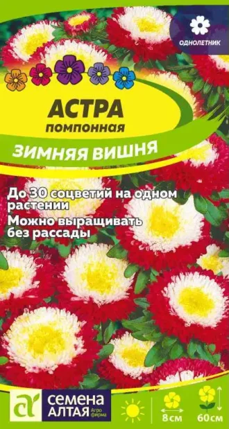 Астра Зимняя Вишня Семена Алтая