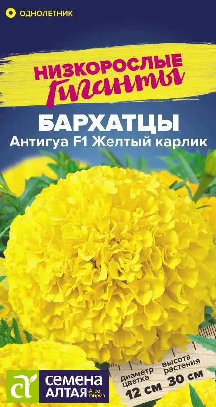 Бархатцы Антигуа Желтый Карлик F1 Семена Алтая