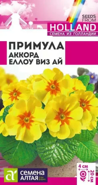 Примула Аккорд Еллоу Виз Ай Семена Алтая