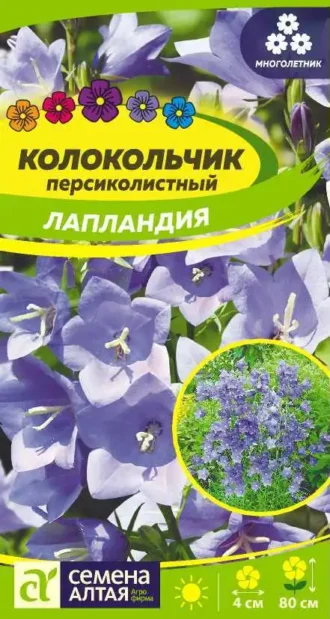 Колокольчик Лапландия Семена Алтая