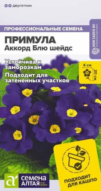 Примула Аккорд Блю Шейдс Семена Алтая