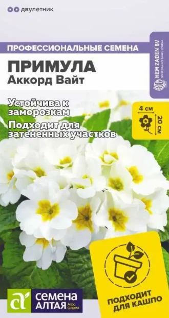 Примула Аккорд Вайт Семена Алтая
