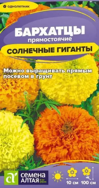 Бархатцы Солнечные Гиганты фото