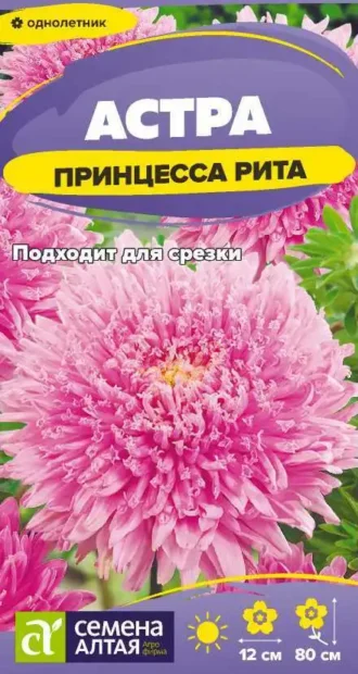 Астра Принцесса Рита фото